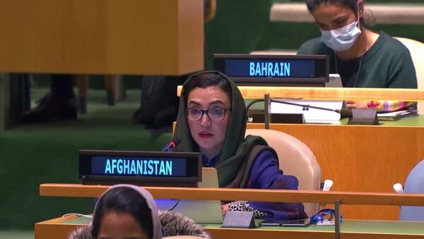 پذیرش قطعنامه مجمع عمومی سازمان ملل متحد درباره اوضاع افغانستان - اسپوتنیک افغانستان  