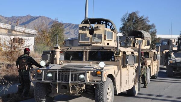 کشته شدن 14 جنگجوی طالبان در ارزگان  - اسپوتنیک افغانستان  