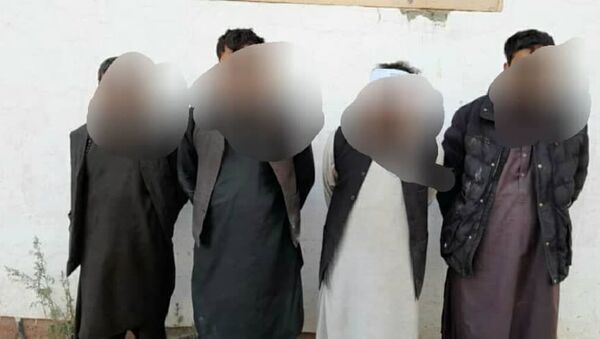 دستگیری یک سرگروه طالبان در شکردره کابل  - اسپوتنیک افغانستان  