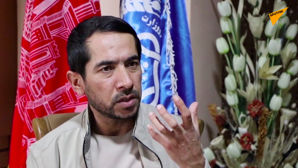 بشیر احمد ته‌ینج، وزیر کار و امور اجتماعی جمهوری اسلامی افغانستان - اسپوتنیک افغانستان  