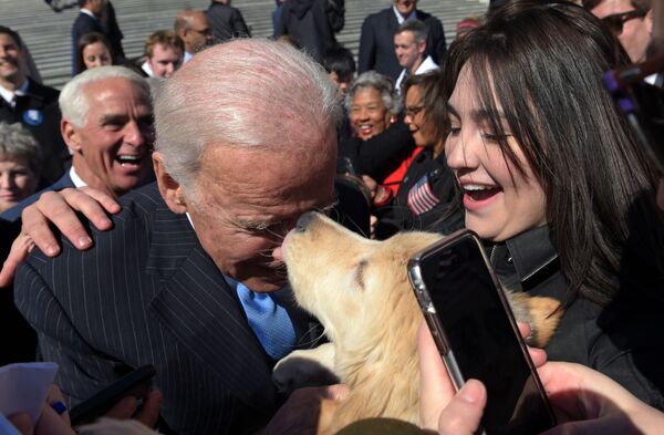  جو بایدن، رئیس جمهور جدید آمریکا
بایدن و سگش در واشنگتن. - اسپوتنیک افغانستان  