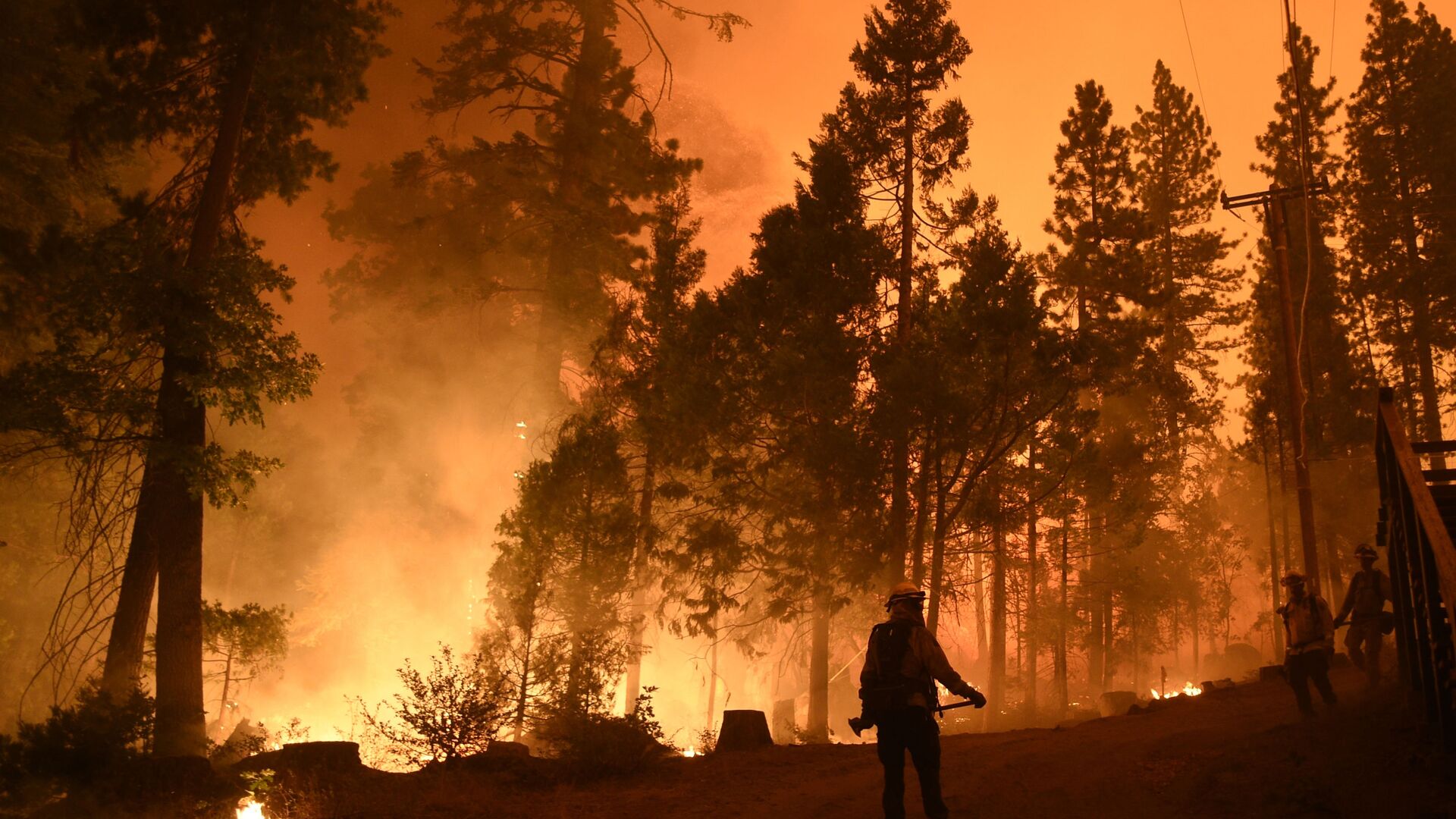 Пожарные тушат лесной пожар в Национальном заповеднике Сьерра, Калифорния - اسپوتنیک افغانستان  , 1920, 23.07.2022