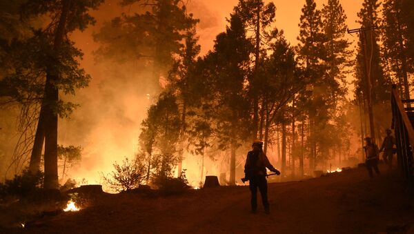 آتش در کالیفرنیا به سمت خانه‌های مردم نزدیک می‌شود - اسپوتنیک افغانستان  