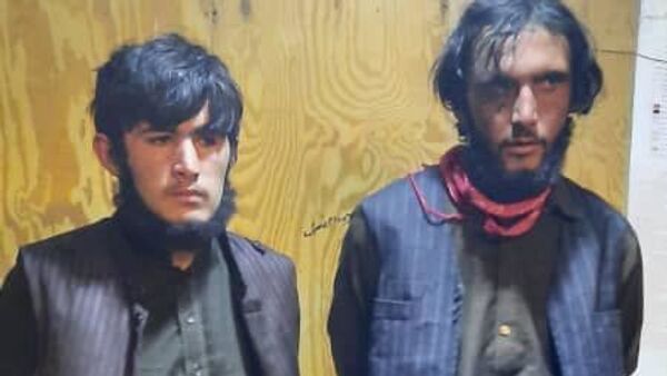 دستگیری دو جنگجوی طالبان در غور که در ترورهای هدفمند دست داشتند - اسپوتنیک افغانستان  