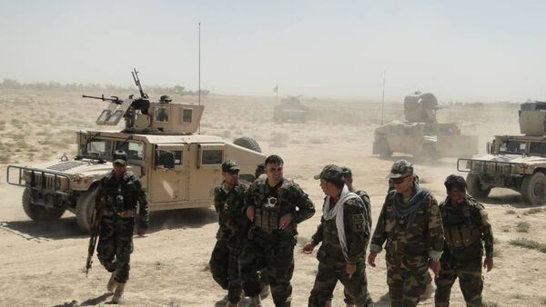 کشته شدن ۲۹ جنگجوی گروه طالبان در کندهار  - اسپوتنیک افغانستان  