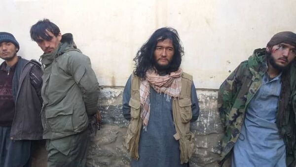 دستگیری یک سرگروه طالبان با ۵ تن از افرادش در بدخشان  - اسپوتنیک افغانستان  