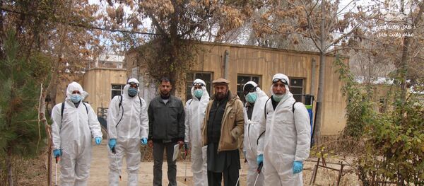 جان باختن ۷ بیمار کرونایی در یک شبانه روز در افغانستان  - اسپوتنیک افغانستان  