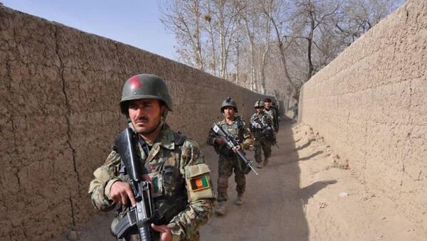 کشته شدن ۱۶ جنگجوی طالبان در ارزگان - اسپوتنیک افغانستان  