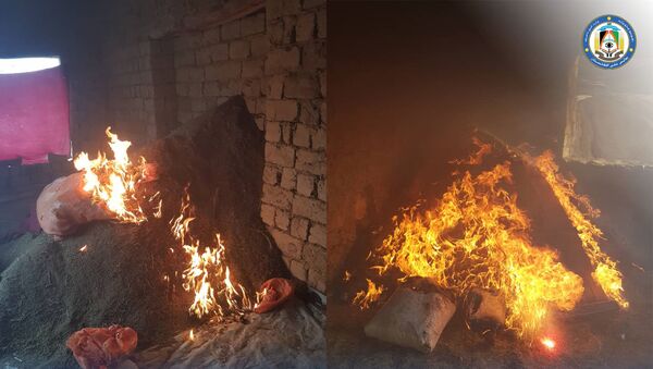 کشف و آتش زدن ۴۴ هزار کیلوگرام چرس از سوی پولیس در کابل - اسپوتنیک افغانستان  