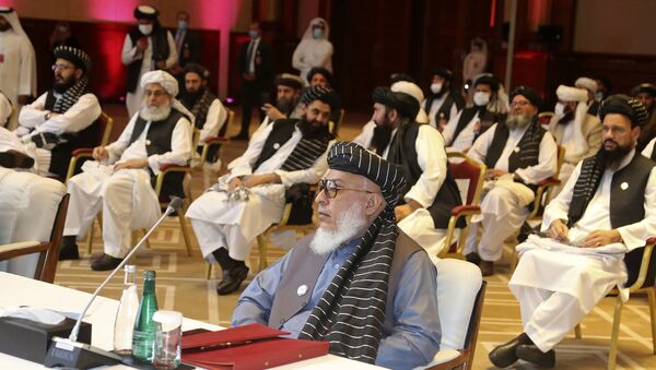 طالبان: ما نظام اسلامی می‌خواهیم نه دموکراسی - اسپوتنیک افغانستان  