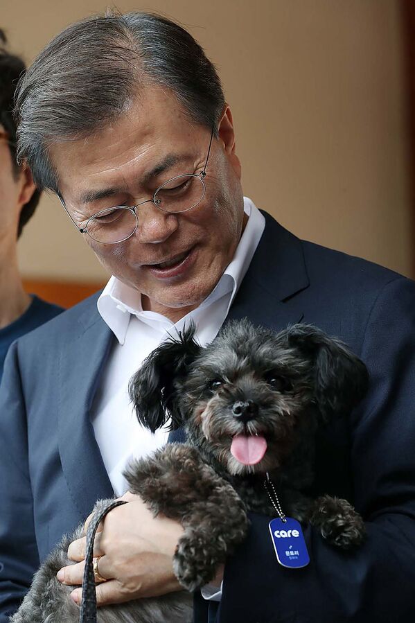 رئیس جمهور کوریای جنوبی و سگش. - اسپوتنیک افغانستان  