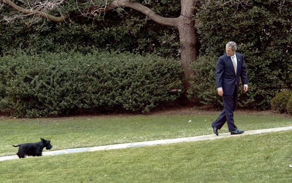 جرج بوش همراه سگش در کاخ سفید. - اسپوتنیک افغانستان  