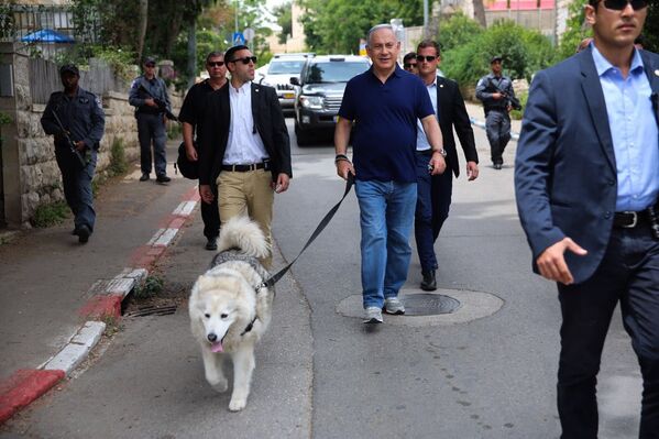 نتانیاهو نخست وزیر اسرائیل همراه سگش . - اسپوتنیک افغانستان  