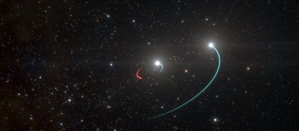 سیاهچالهها و مالتی ورس کلید اصلی حل ماده تاریک سیاهچالهها و مالتی ورس کلید اصلی حل ماده تاریک - اسپوتنیک افغانستان