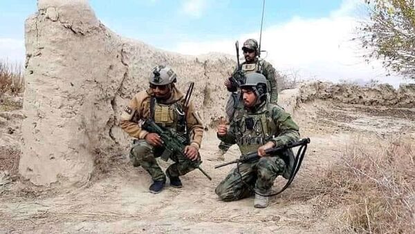 کشته شدن ۱۴ جنگجوی طالبان در ارزگان  - اسپوتنیک افغانستان  