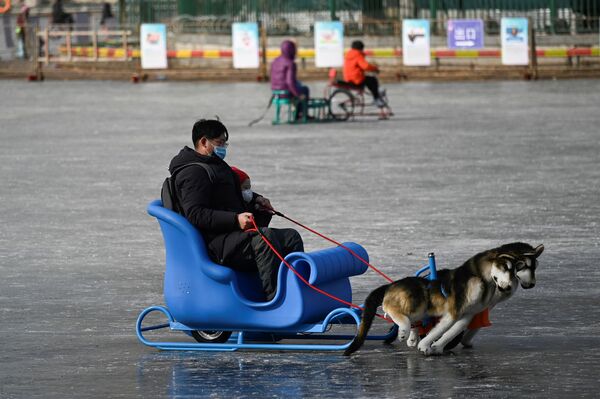 بازی روی یخ در پکن. - اسپوتنیک افغانستان  
