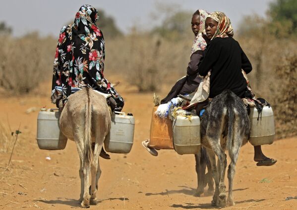 زنان سودانی در دهکده ای در 85 کیلومتری جنوب نیالا آب را بر روی حیوانات حمل می کنند.
 - اسپوتنیک افغانستان  