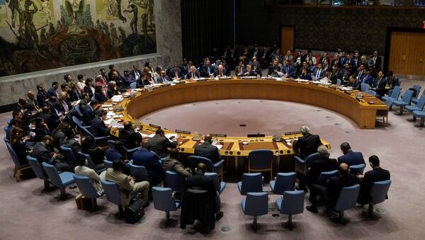 Consejo de Seguridad de la ONU - اسپوتنیک افغانستان  