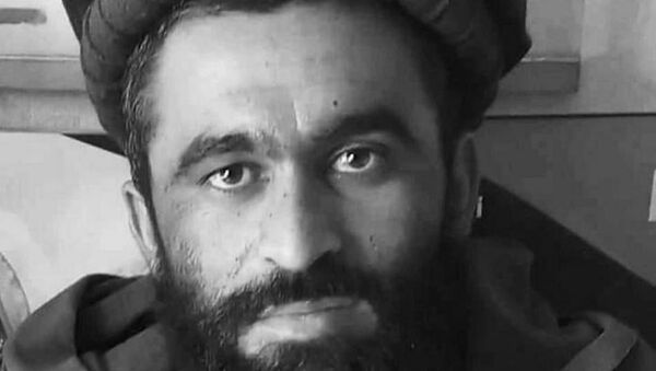ملا احمد الله معاون استخبارات طالبان برای ناوه هلمند کشته شد - اسپوتنیک افغانستان  