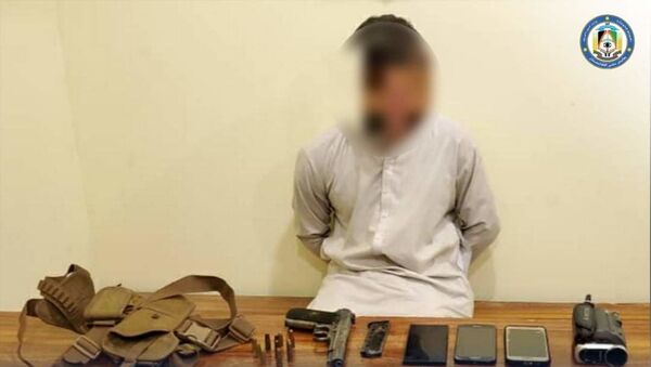 مسئول جلب و جذب گروه القاعده در ننگرهار را بازداشت شد - اسپوتنیک افغانستان  