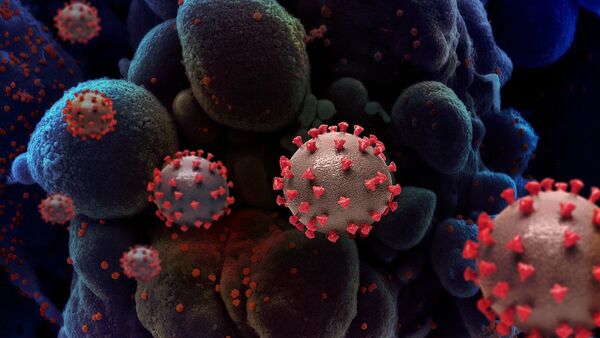  دانشمندان: ویروس کرونای انگلیس به سرعت در ایالات متحده در حال شیوع است - اسپوتنیک افغانستان  