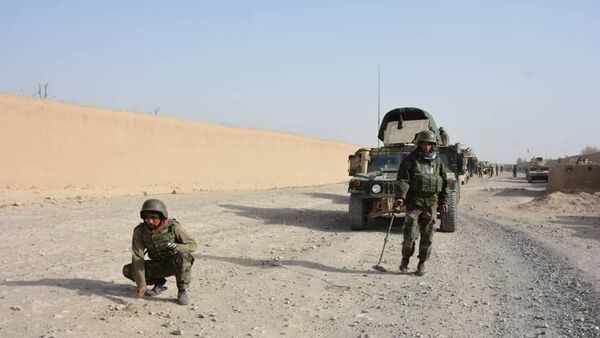 کشته و زخمی شدن 24 جنگجوی گروه طالبان در زابل  - اسپوتنیک افغانستان  