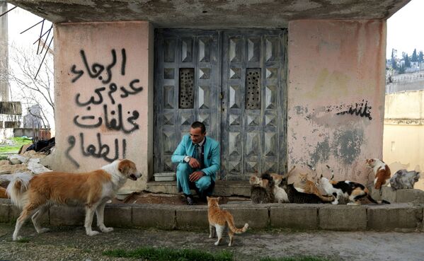 مردی با حیوانات خود در جاده‌های اردن. - اسپوتنیک افغانستان  