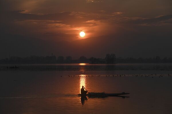 مردی در قایق در دریاچه دال در هند - اسپوتنیک افغانستان  