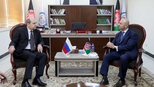 نادری و سفیر روسیه در مورد روند صلح افغانستان گفتگو کردند - اسپوتنیک افغانستان  
