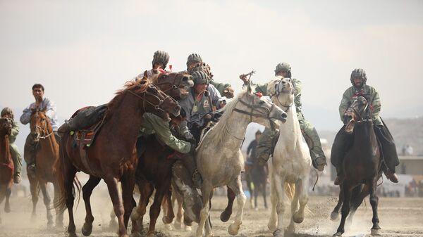 اسب مشهور تیم ملی بزکشی ولایت بدخشان توسط زهر کشته شد - اسپوتنیک افغانستان  