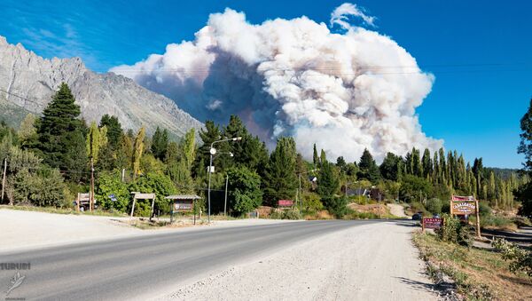 آتش‌سوزی جنگلی در ارجنتین - اسپوتنیک افغانستان  