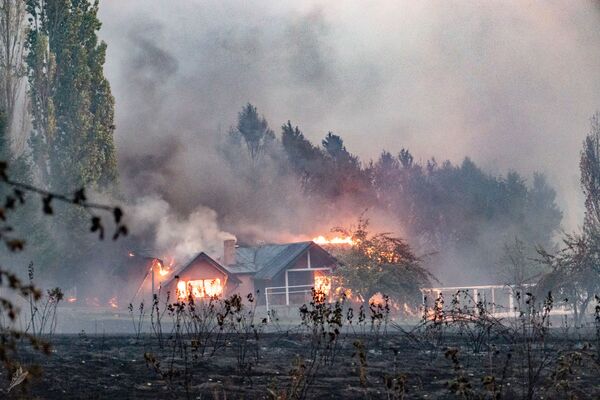 آتش‌سوزی جنگلی در « چوبوت» ارجنتین - اسپوتنیک افغانستان  