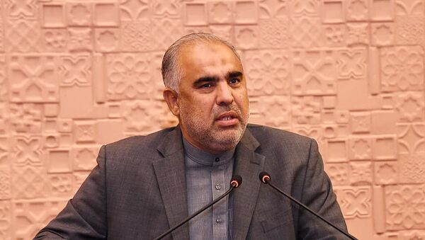 رییس مجلس نمایندگان پاکستان به کابل می‌آید - اسپوتنیک افغانستان  