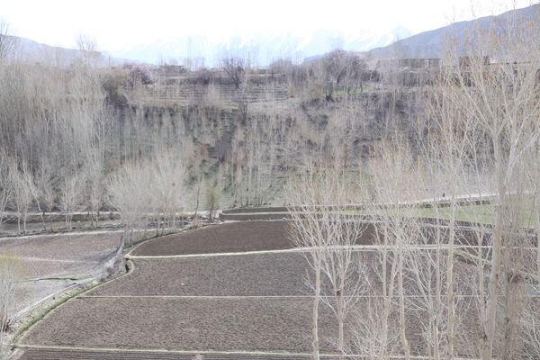 زمین‌های زراعتی در ولایت بامیان - اسپوتنیک افغانستان  