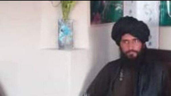 ارتش: ولسوال نام‌نهاد طالبان برای ولسوالی جغتو میدان وردک کشته شد - اسپوتنیک افغانستان  