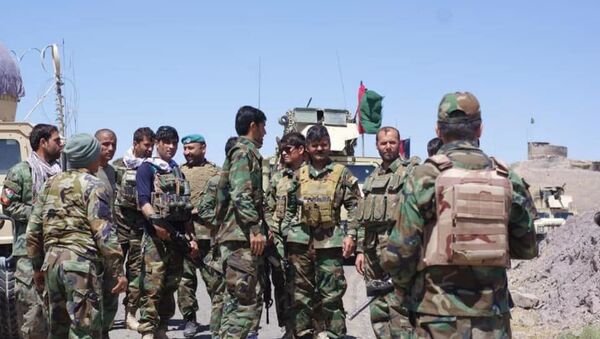 کشته و زخمی شدن ۴۸ طالب به شمول ۴ تن فرمانده آنان در هرات - اسپوتنیک افغانستان  