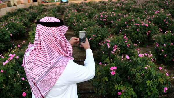 Мужчина из Саудовской Аравии делает снимок розового сада в городе Эт-Таиф - اسپوتنیک افغانستان  