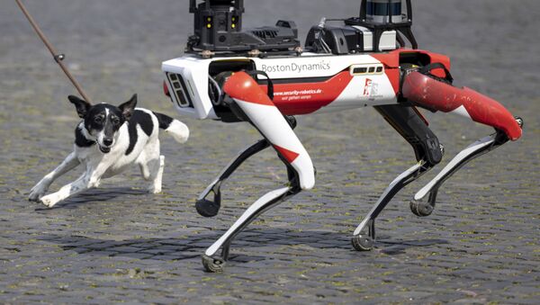 سگ رباتیک با تفنگ در امریکا - اسپوتنیک افغانستان  