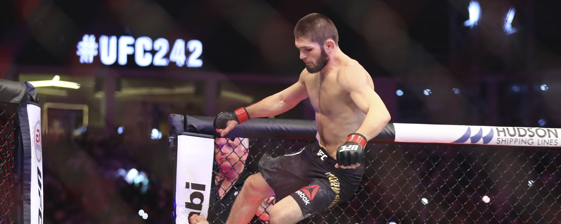 Russian UFC fighter Khabib Nurmagomedov, jumps during Lightweight title mixed martial arts bout at UFC 242, fight against UFC fighter Dustin Poirier, of Lafayette, La., in Yas Mall in Abu Dhabi, United Arab Emirates, Saturday , Sept.7 2019.  - اسپوتنیک افغانستان  , 1920, 04.06.2021