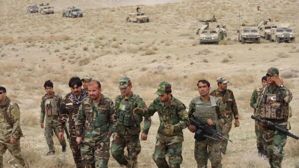 ادامه کشته شدن جنگجویان طالبان در کندهار  - اسپوتنیک افغانستان  