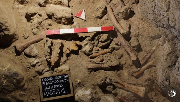 کشف بقایای نئاندرتالها کشته شده در نزدیکی رم - اسپوتنیک افغانستان  