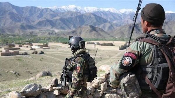 دستگیری یک تروریست پاکستان ازسوی کماندوهای افغانستان - اسپوتنیک افغانستان  