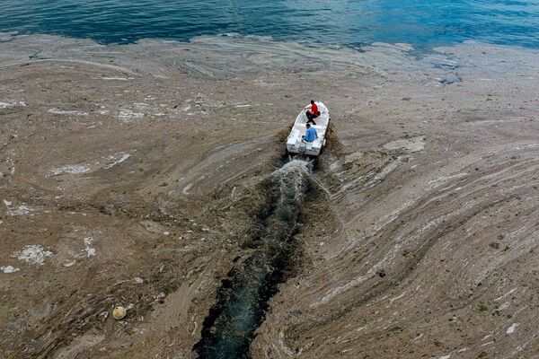 نمای از دریای مرمری پوشیده از لجن در بندر استانبول - اسپوتنیک افغانستان  
