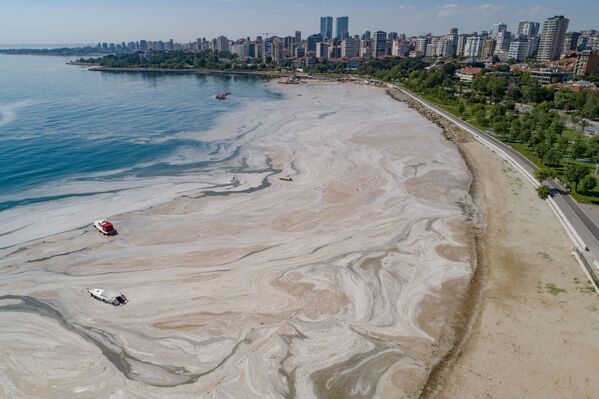 نمای از دریای مرمری پوشیده از لجن در بندر استانبول - اسپوتنیک افغانستان  