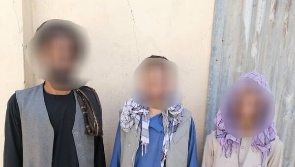 سه تن درپیوند به ترورهای هدفمند در پروان بازداشت شدند - اسپوتنیک افغانستان  