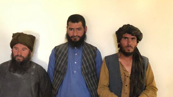 بازداشت سه تن از افراد نفوذی طالبان در ولایت سرپل - اسپوتنیک افغانستان  