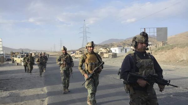 کشته شدن ۲۵۸ جنگجوی طالبان در یک شبانه روز گذشته - اسپوتنیک افغانستان  