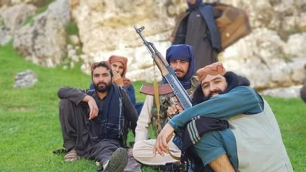 ولسوال خود خوانده و قوماندان قطعه سرخ طالبان در حملات هوایی ارتش کشته شدند - اسپوتنیک افغانستان  