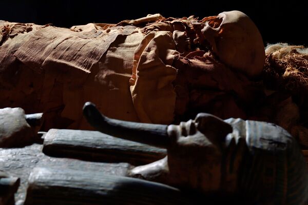 مومیایی همراه سارکوفاژ در موزه باستان شناسی برگامو ایتالیا - اسپوتنیک افغانستان  