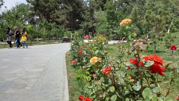 باغ تاریخی چهل‌ستون کابل، محل تفریحی شهروندان - اسپوتنیک افغانستان  